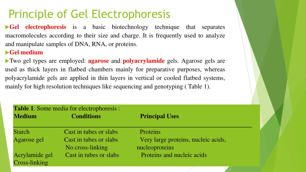 principle of gel electrophoresis