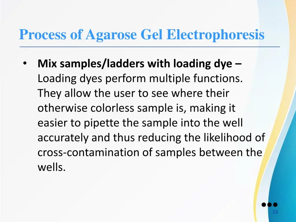 process of agarose gel electrophoresis 2