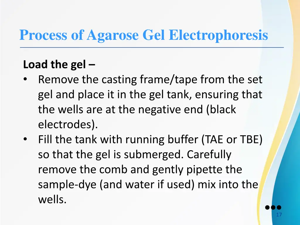 process of agarose gel electrophoresis 3