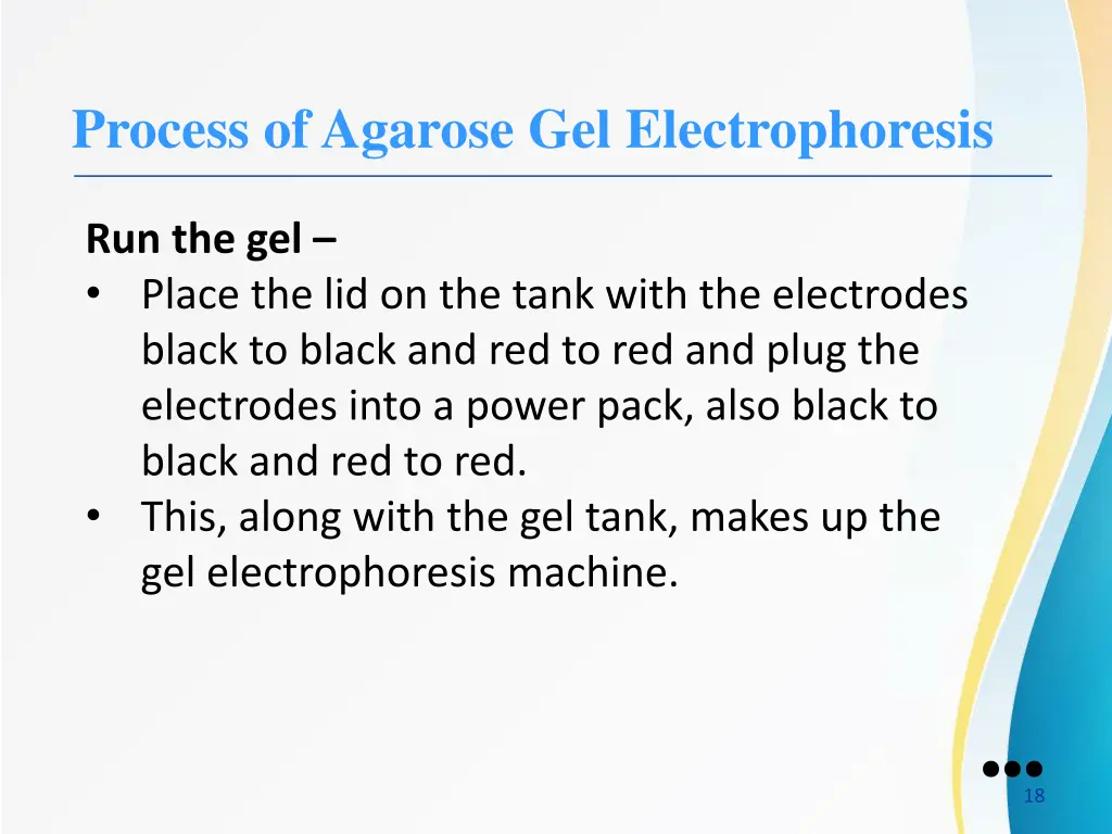 process of agarose gel electrophoresis 4