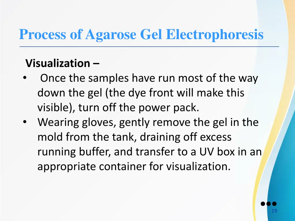 process of agarose gel electrophoresis 5