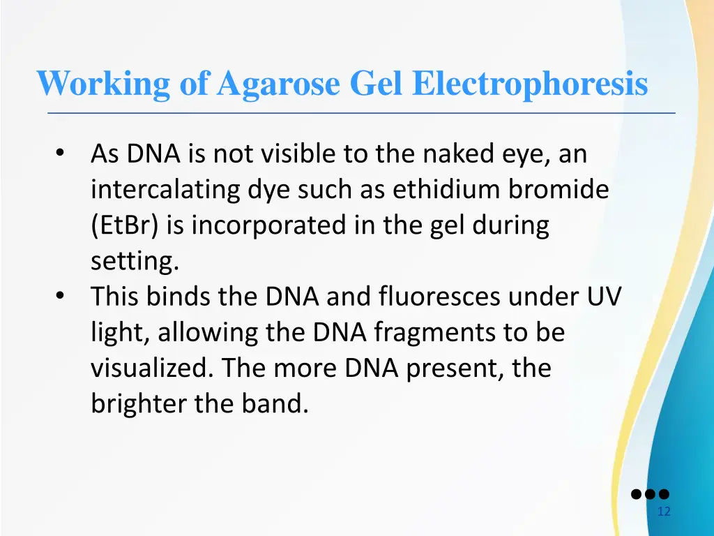 working of agarose gel electrophoresis 3