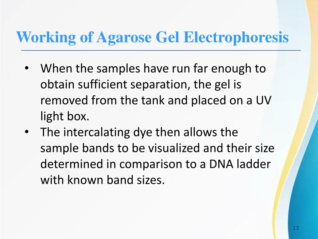 working of agarose gel electrophoresis 4