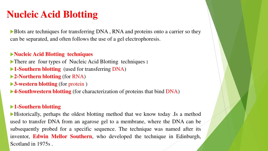 nucleic acid blotting