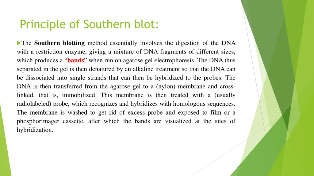 principle of southern blot