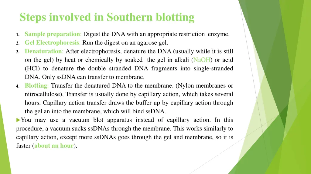 steps involved in southern blotting