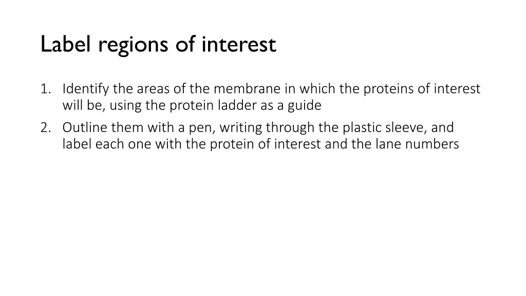 label regions of interest