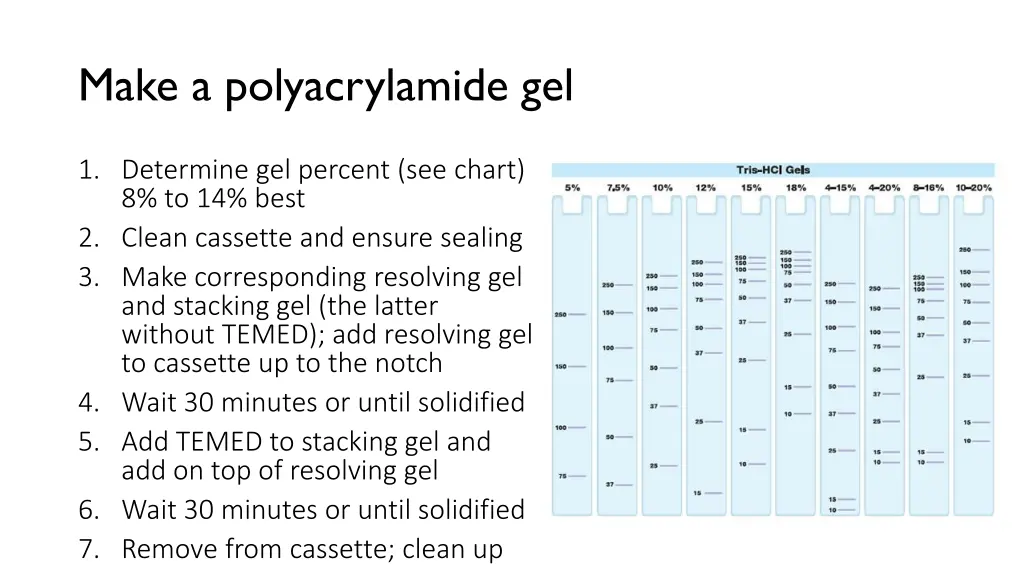 make a polyacrylamide gel