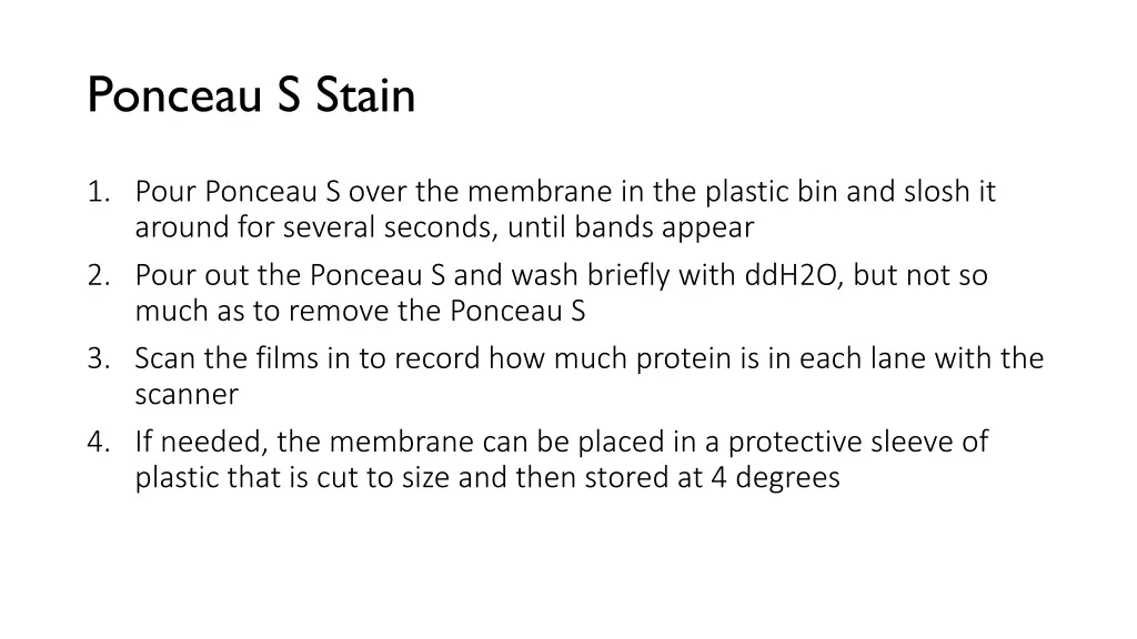 ponceau s stain