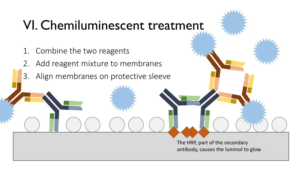 vi chemiluminescent treatment