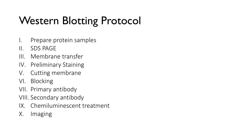 western blotting protocol 1