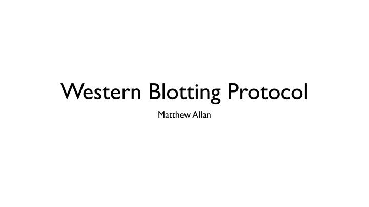 western blotting protocol