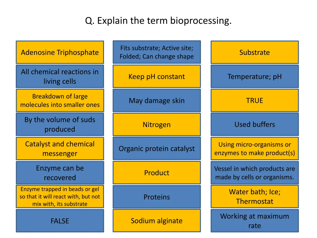 q explain the term bioprocessing