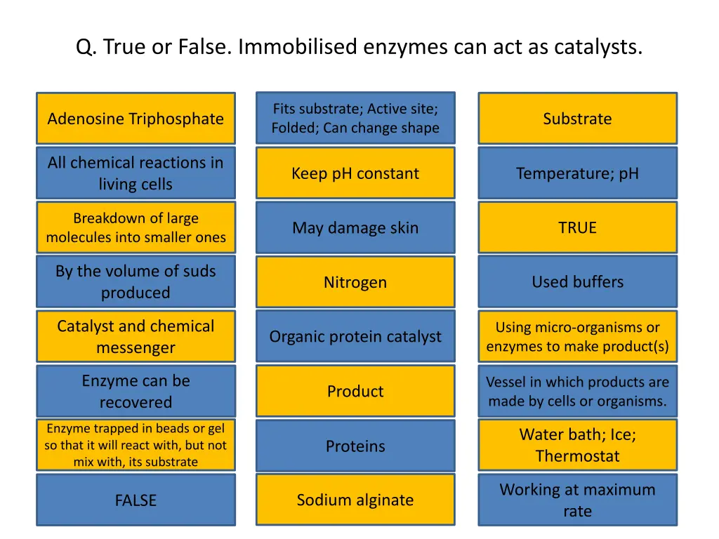 q true or false immobilised enzymes