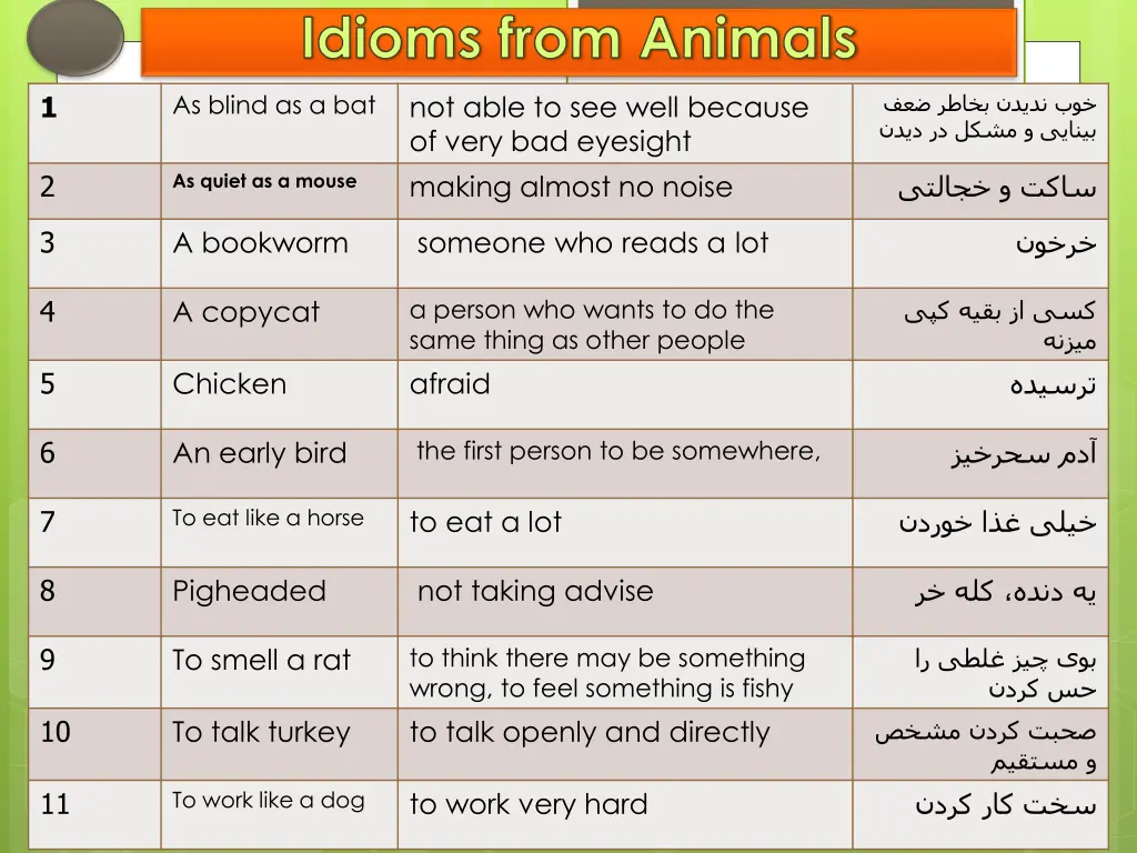 idioms from animals