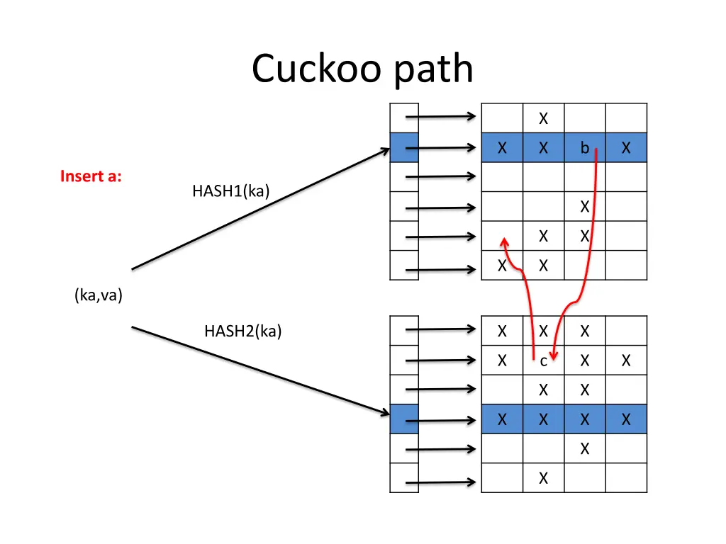 cuckoo path