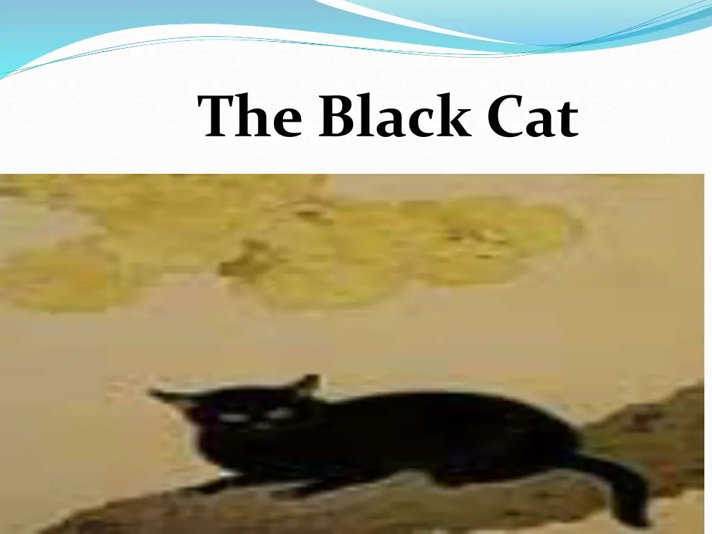 the black cat