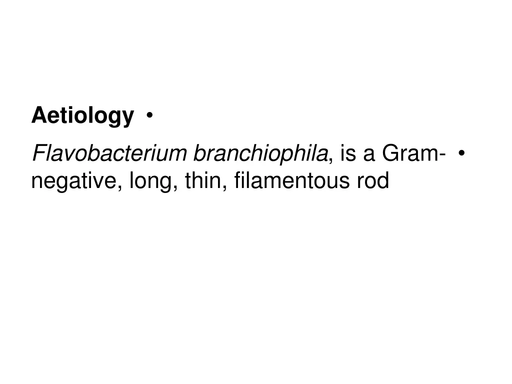 aetiology flavobacterium branchiophila is a gram