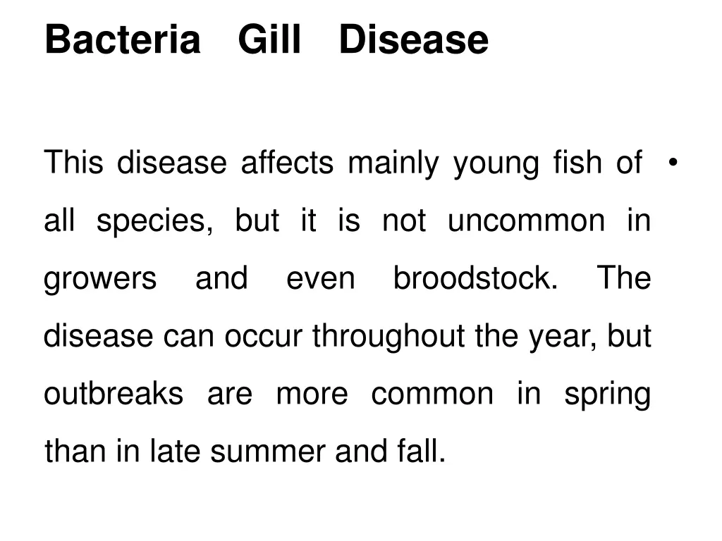 bacteria gill disease