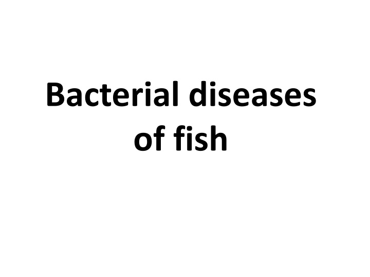 bacterial diseases of fish