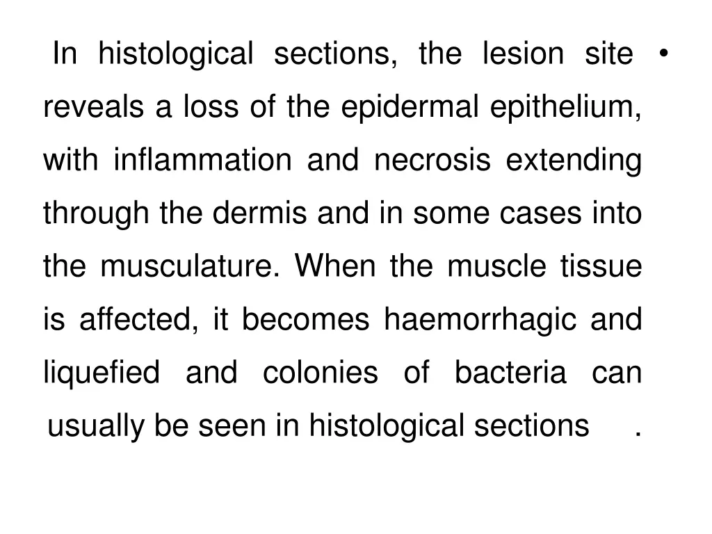 in histological sections the lesion site