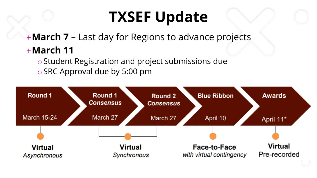 txsef update