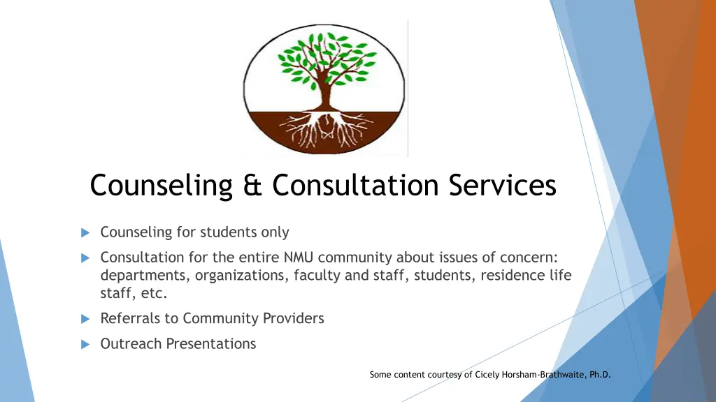 counseling consultation services