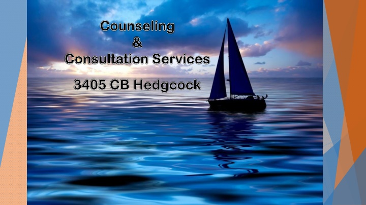 counseling counseling consultation services