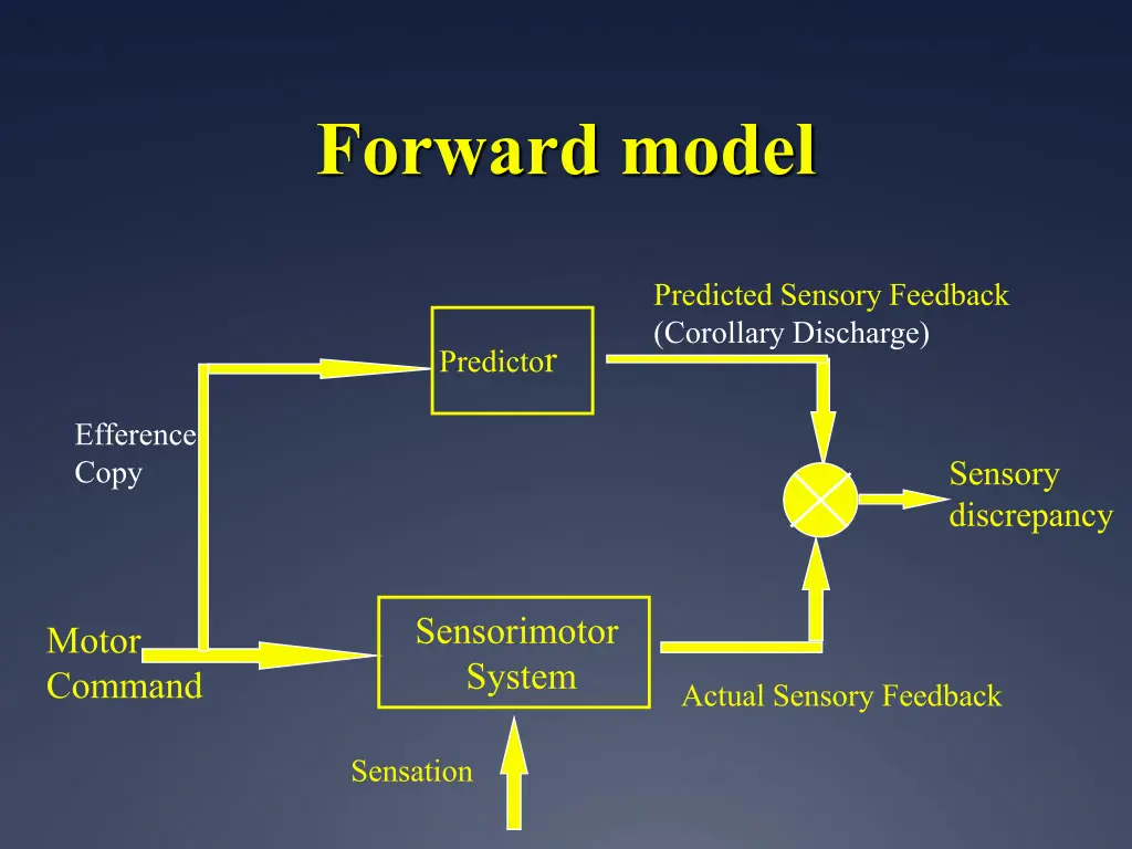 forward model