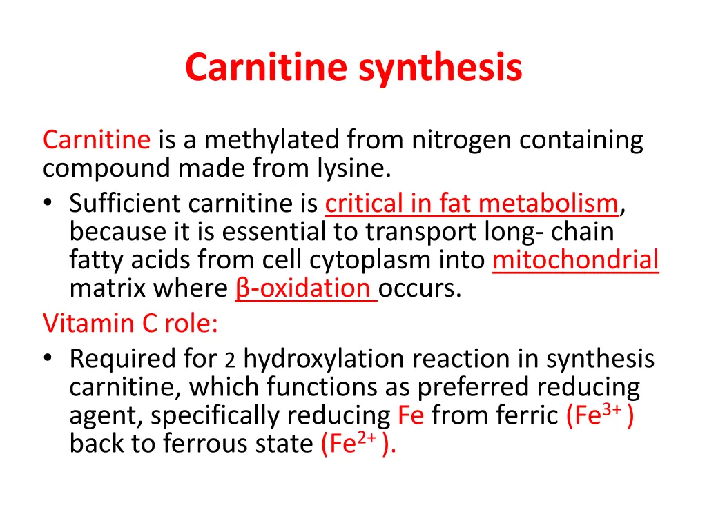 carnitine synthesis