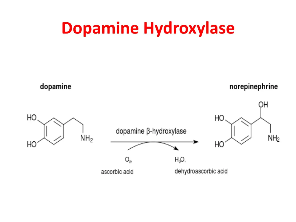 dopamine hydroxylase