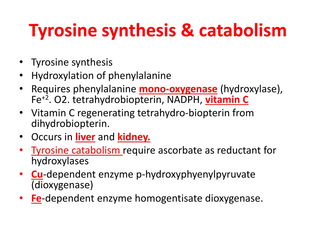 tyrosine synthesis catabolism