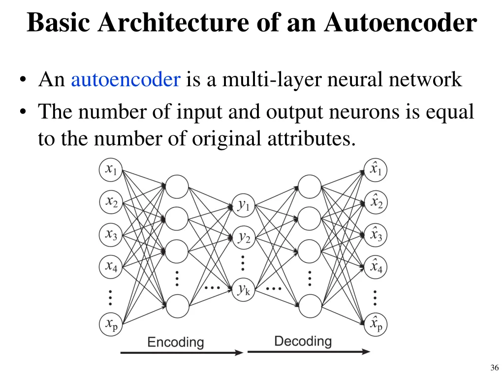 basic architecture of an autoencoder