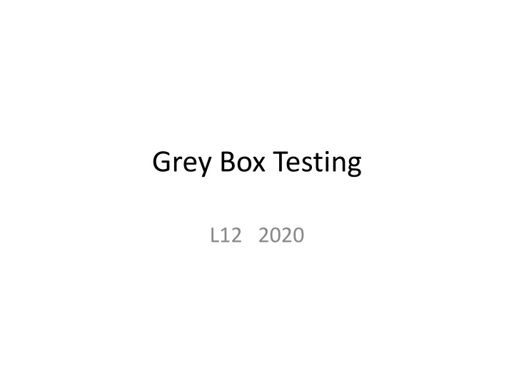 grey box testing