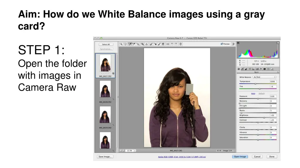 aim how do we white balance images using a gray 1