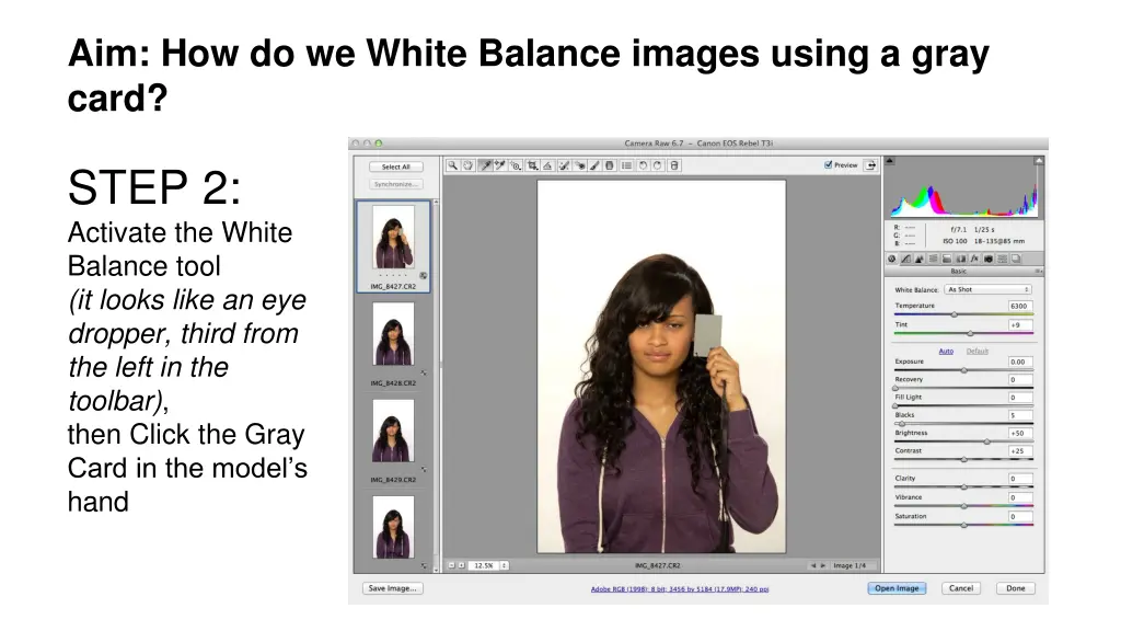 aim how do we white balance images using a gray 2