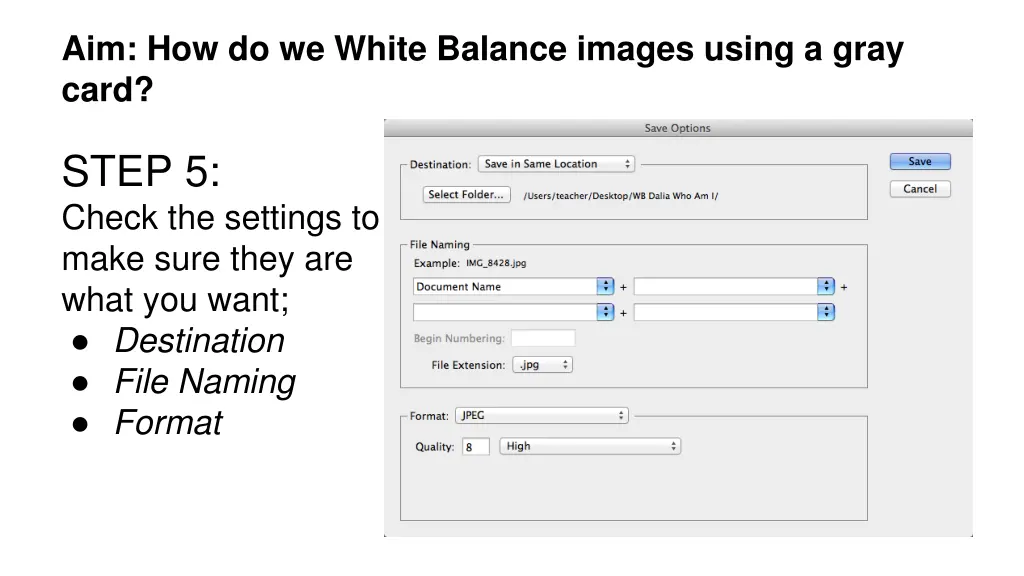 aim how do we white balance images using a gray 5