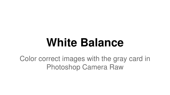 white balance