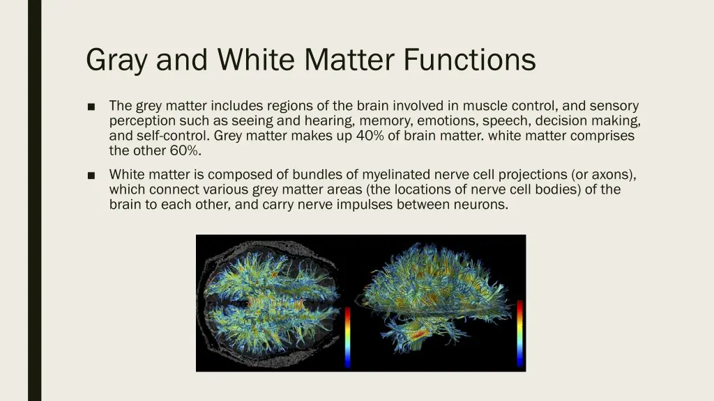 gray and white matter functions