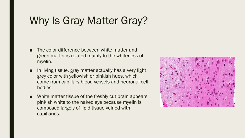 why is gray matter gray