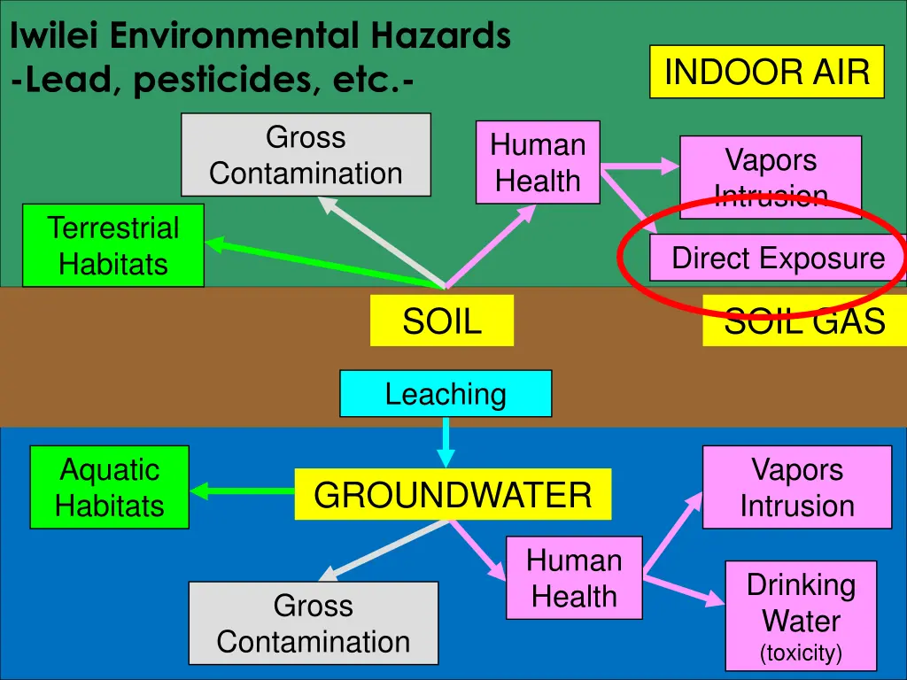 iwilei environmental hazards lead pesticides etc