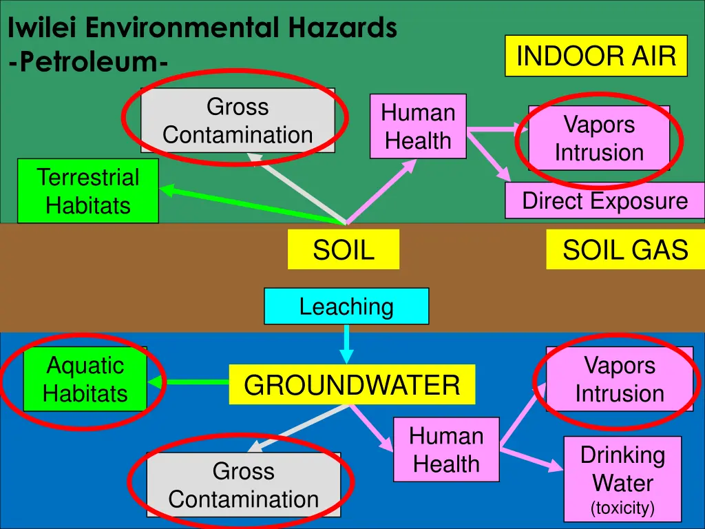 iwilei environmental hazards petroleum