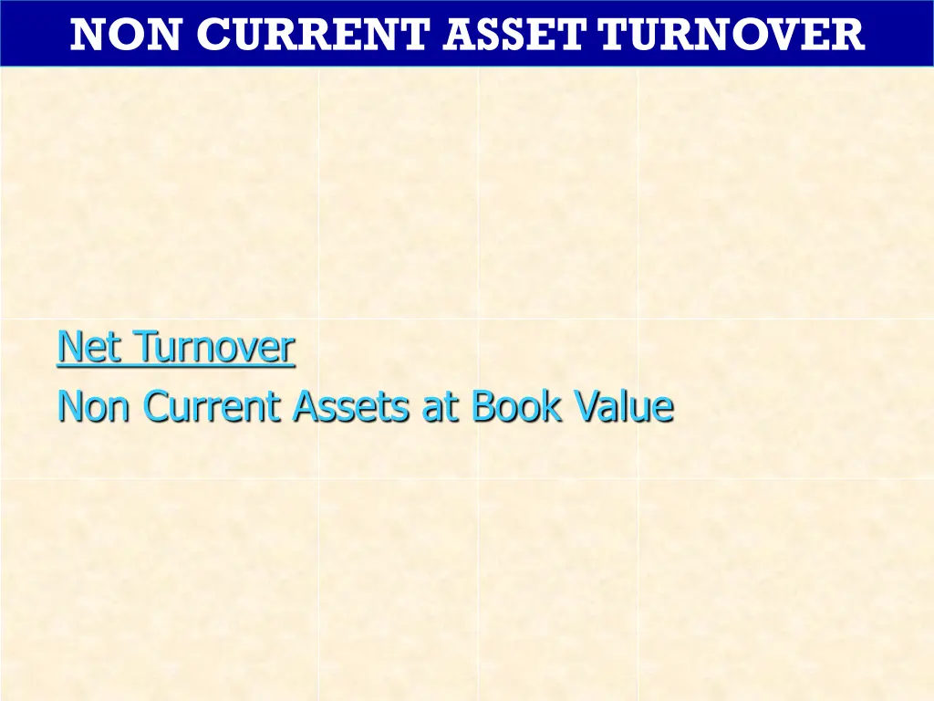 non current asset turnover