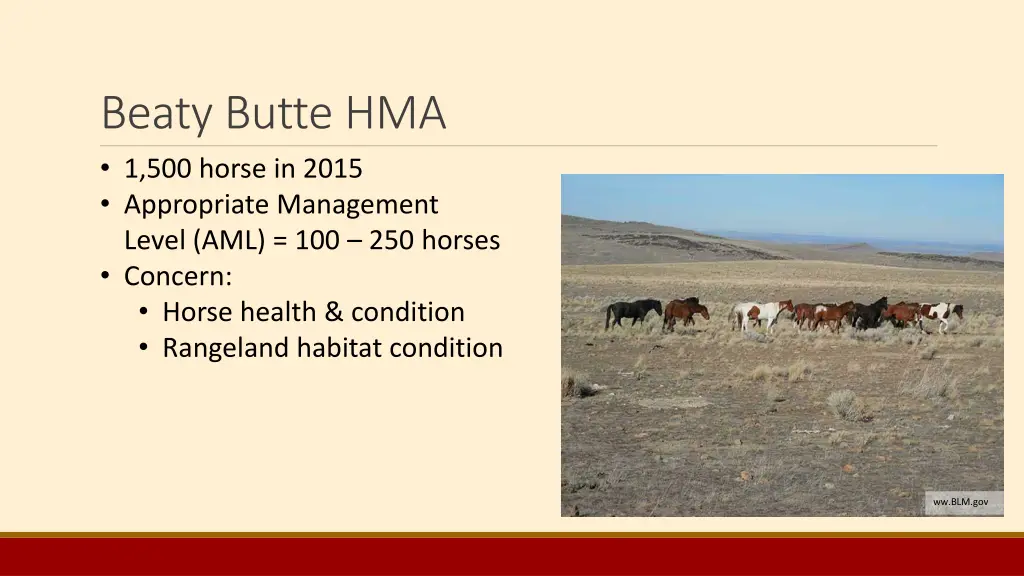 beaty butte hma 1 500 horse in 2015 appropriate