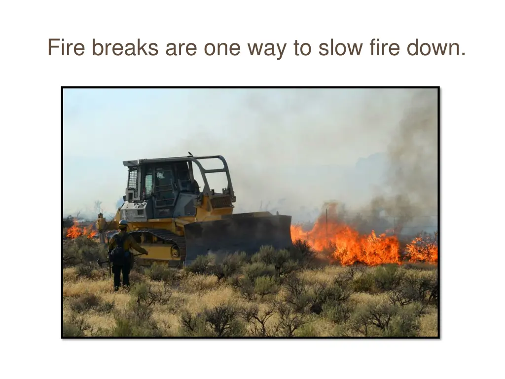 fire breaks are one way to slow fire down