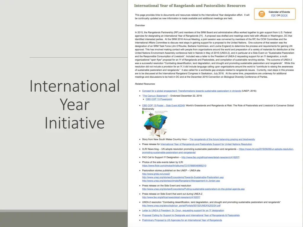 international year initiative