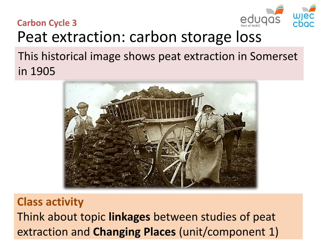 carbon cycle 3 peat extraction carbon storage