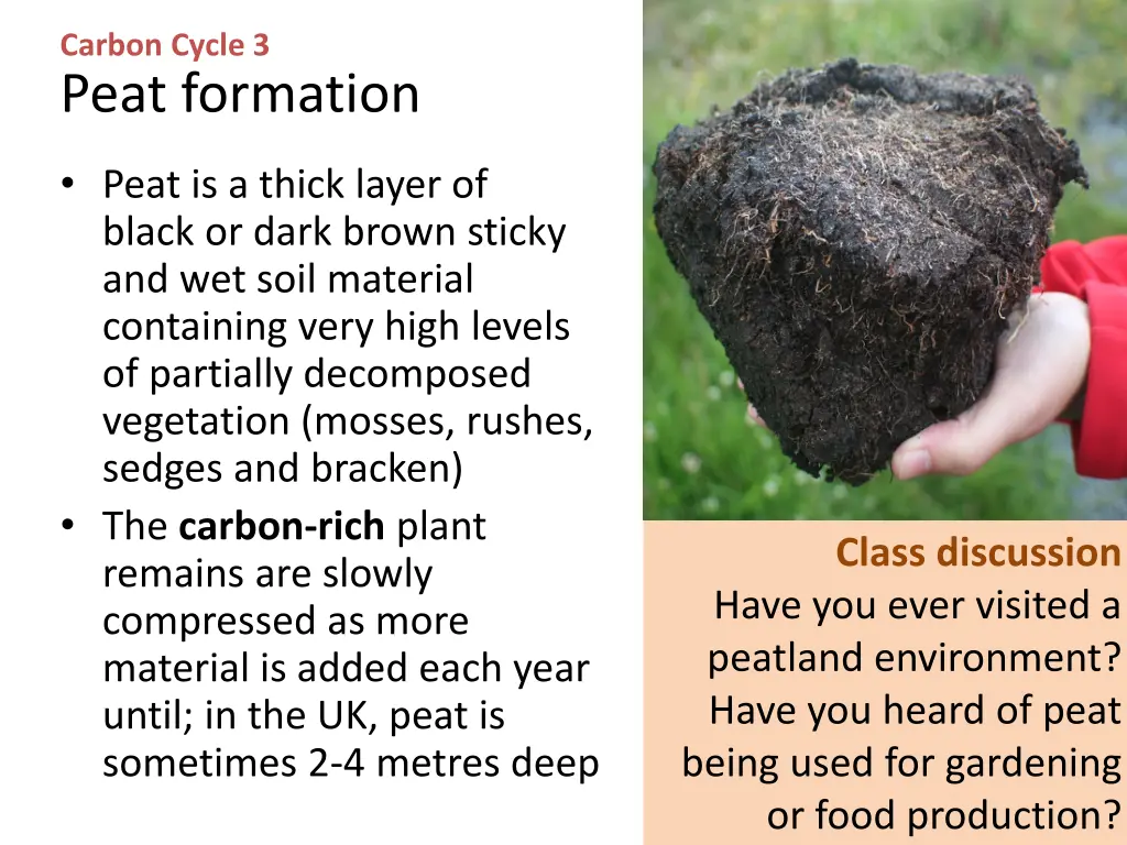 carbon cycle 3 peat formation