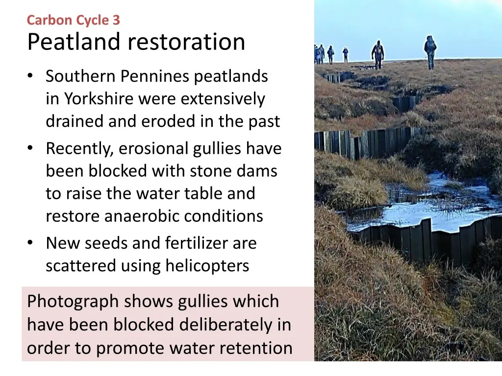 carbon cycle 3 peatland restoration southern