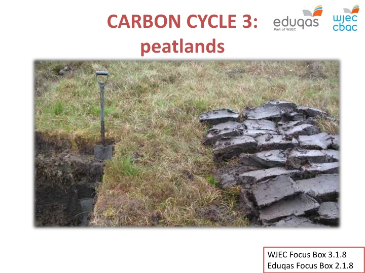 carbon cycle 3 peatlands